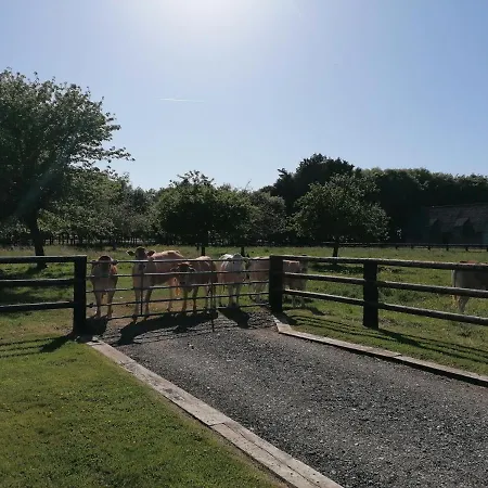 Domaine De Janville 別荘 *